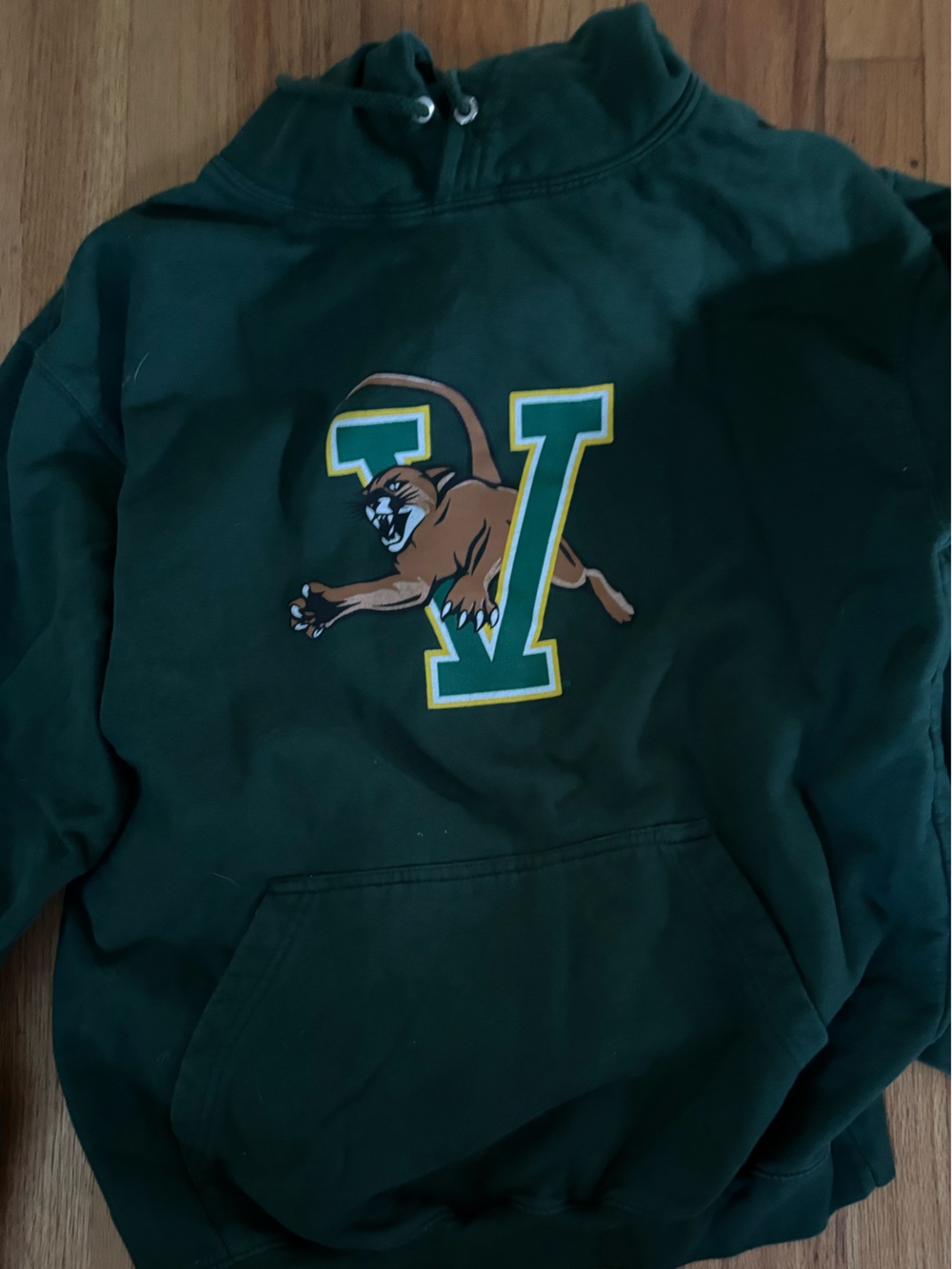 Dark Green Pullover Hoodie with Panther V Graphic